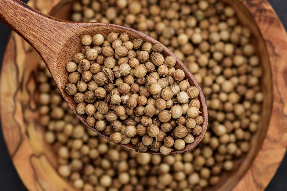 Whole coriander seeds in a wooden spoon
